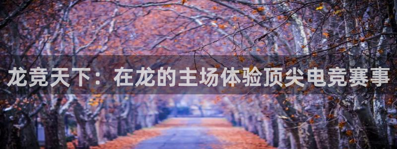 易游电竞CSGO解说