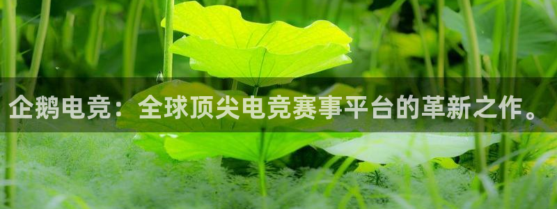 易游电竞淮阴区：企鹅电竞：全球顶尖电竞赛事平台的革新之作。