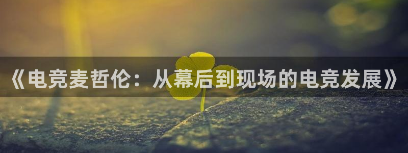 易游电竞王者荣耀大赛：《电竞麦哲伦：从幕后到现场的电竞发展》