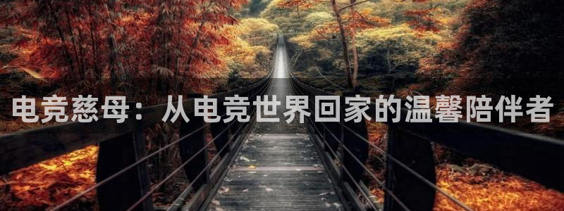 易游电竞王者荣耀大赛：电竞慈母：从电竞世界回家的温馨陪伴者