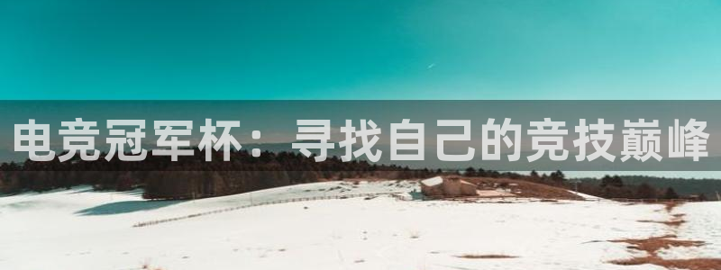 易游电竞网咖