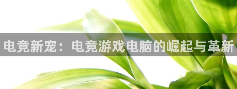 易游电竞酒店