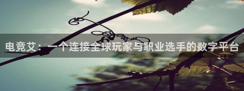 易游电竞