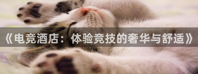 易游电竞淮阴区