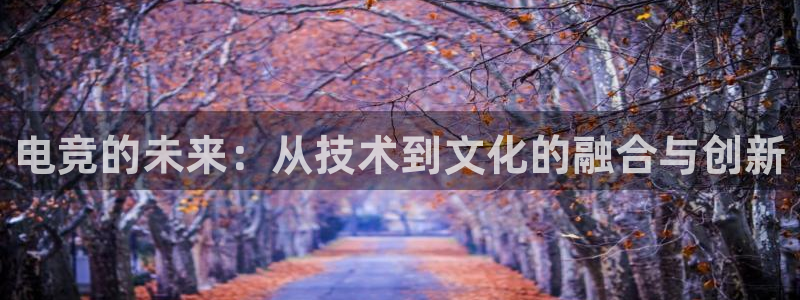 易游电竞CSGO解说