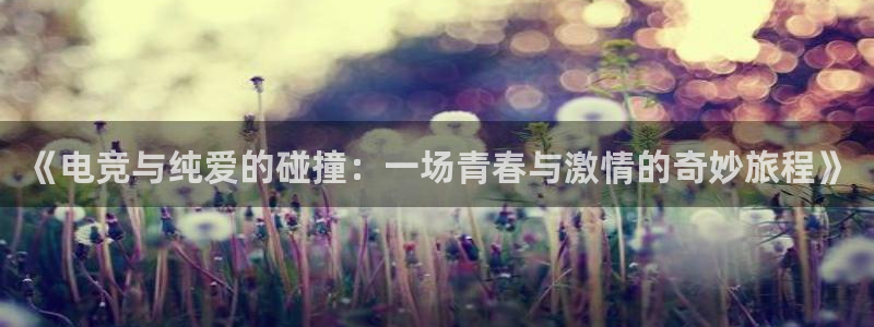 易游电竞赛事直播