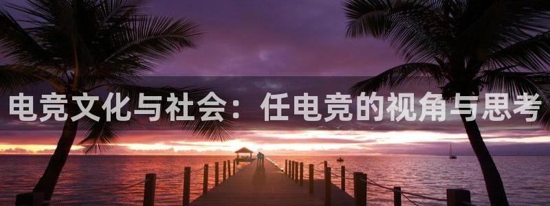 易游电竞解说：电竞文化与社会：任电竞的视角与思考