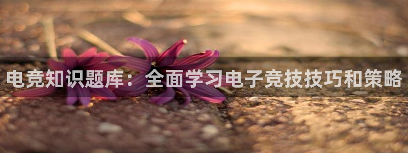 易游电竞CSGO解说