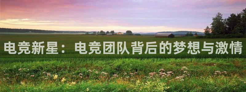 易游电竞CSGO解说：电竞新星：电竞团队背后的梦想与激情