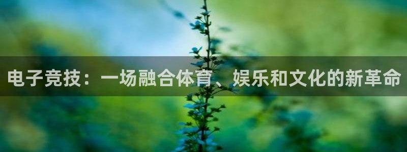 易游电竞中国区：电子竞技：一场融合体育、娱乐和文化的新革命