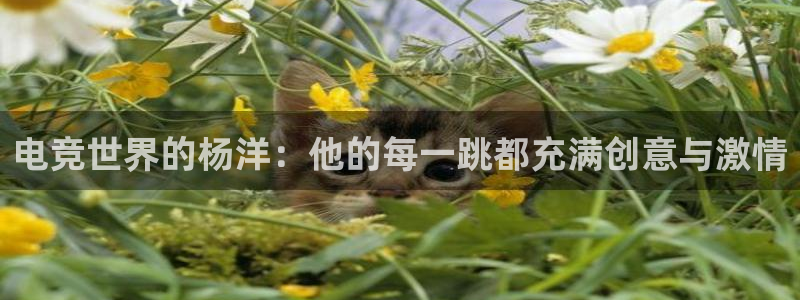 易游电竞赛事直播：电竞世界的杨洋：他的每一跳都充满创意与激情